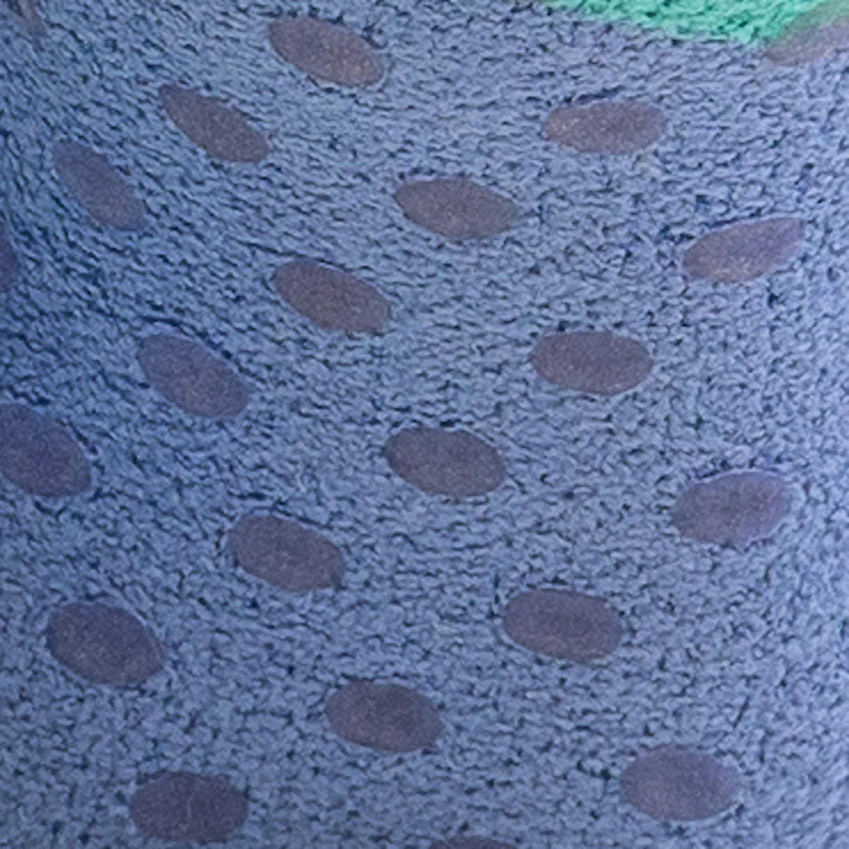 I'm Your Biggest Fan Women's Slipper Socks