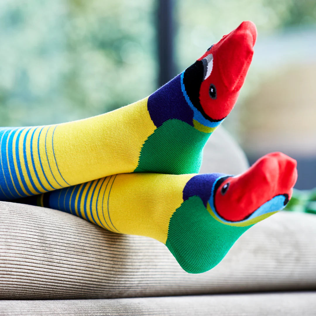 Colourful socks with a finch design - The Sockery