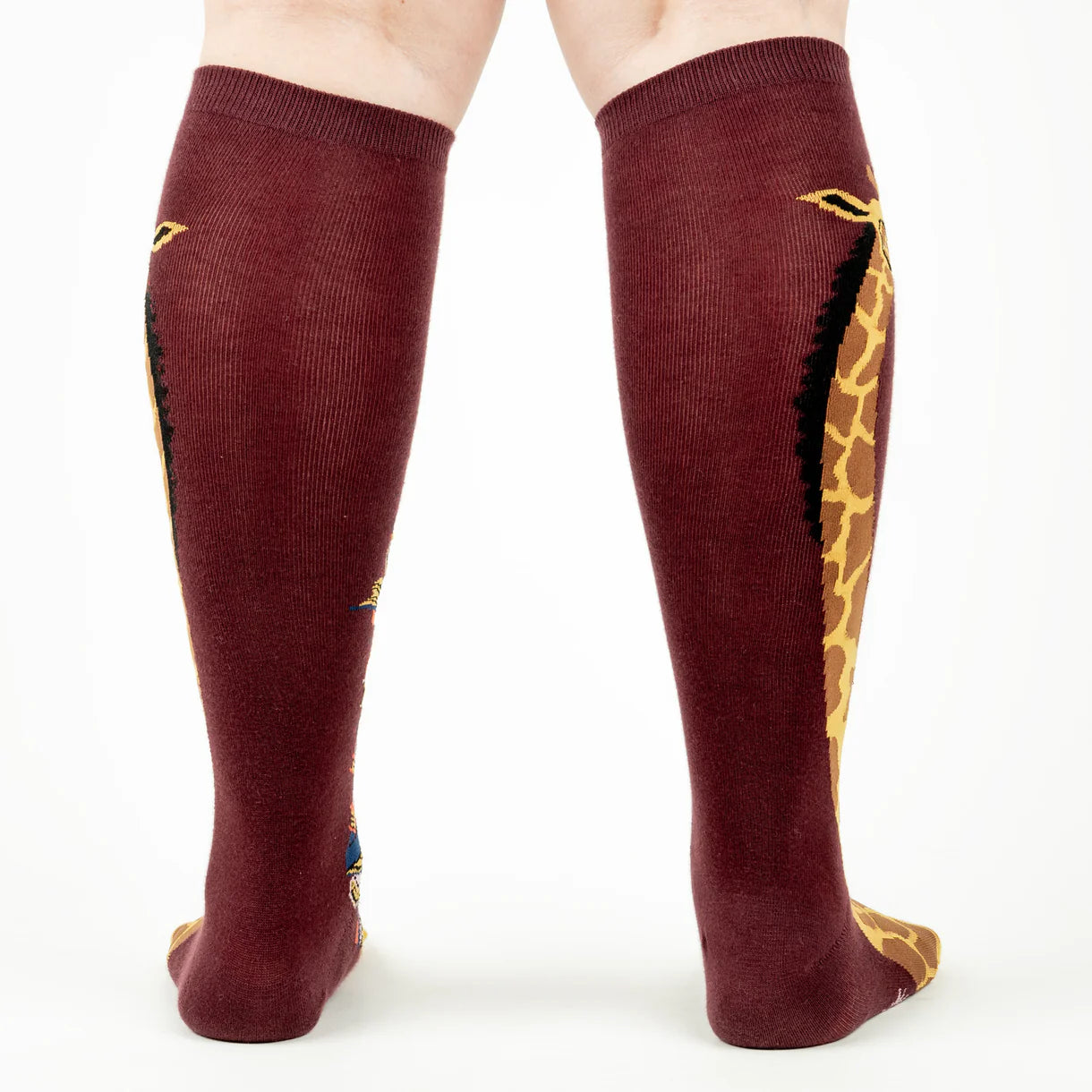 A Tall Tale Women's Knee High Socks