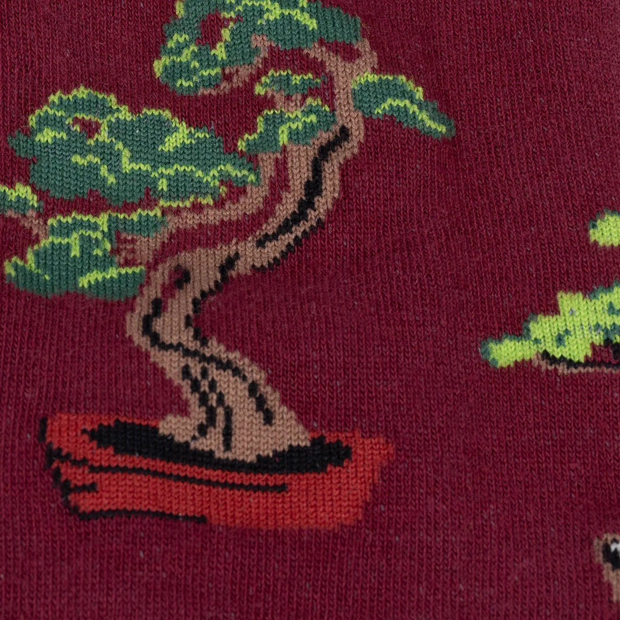 Good Things Come In Trees Women's Knee High Socks