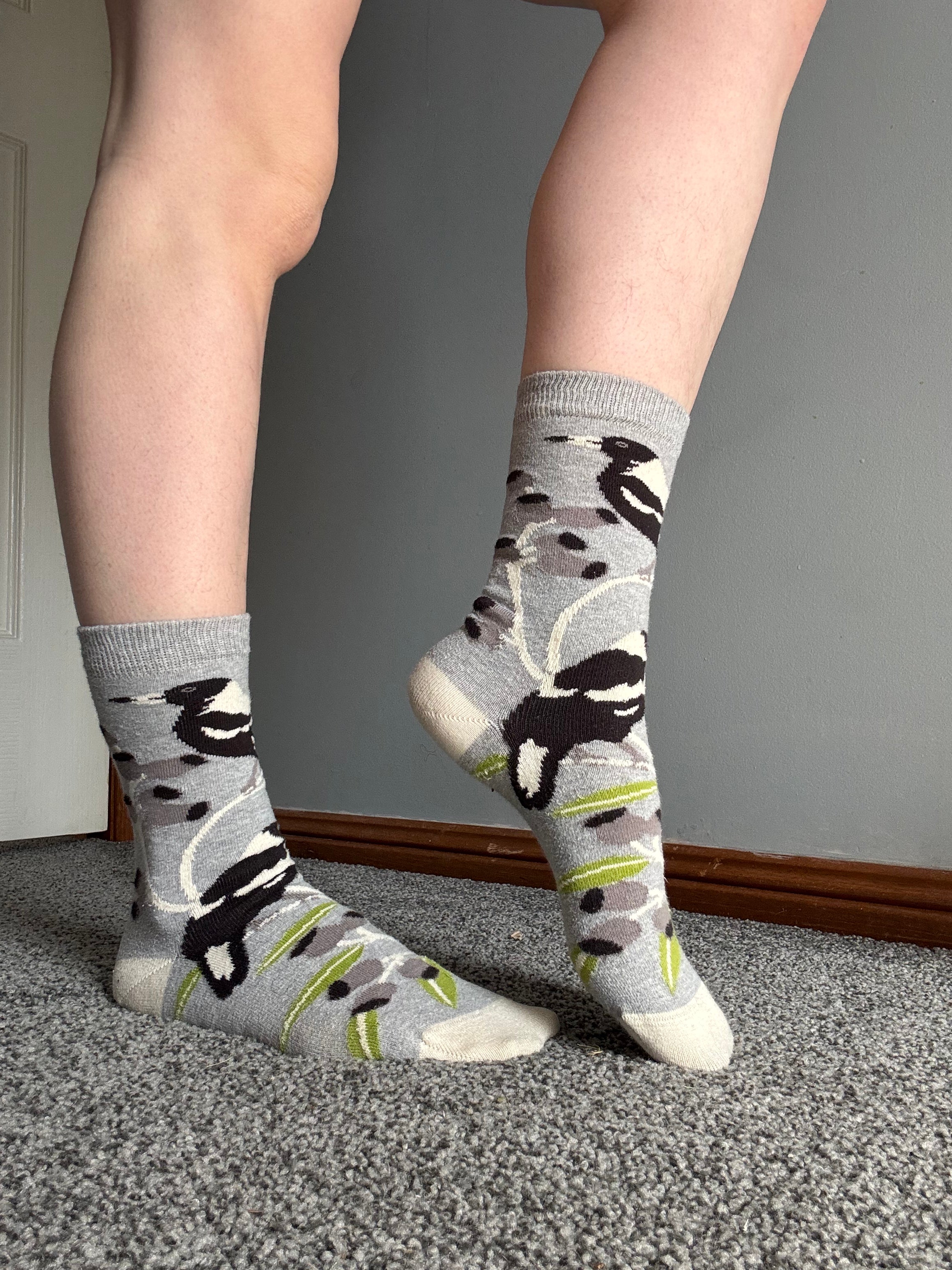 Australian Magpie Socks