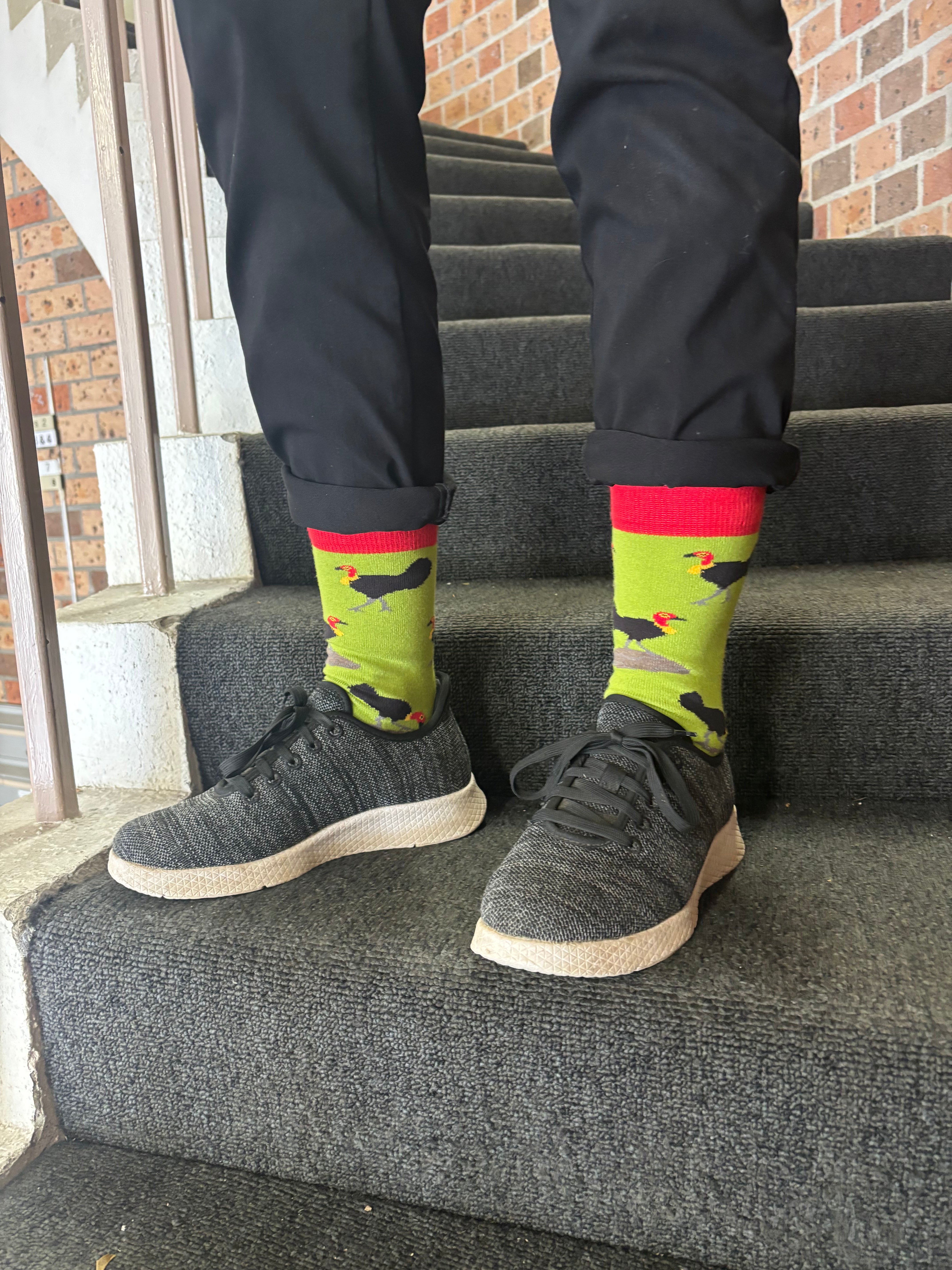 Brush Turkey Cotton Crew Dress Sock - Made in Australia