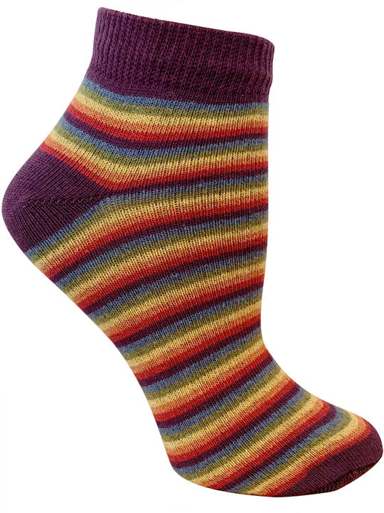 Earthern Rainbow Ankle Socks