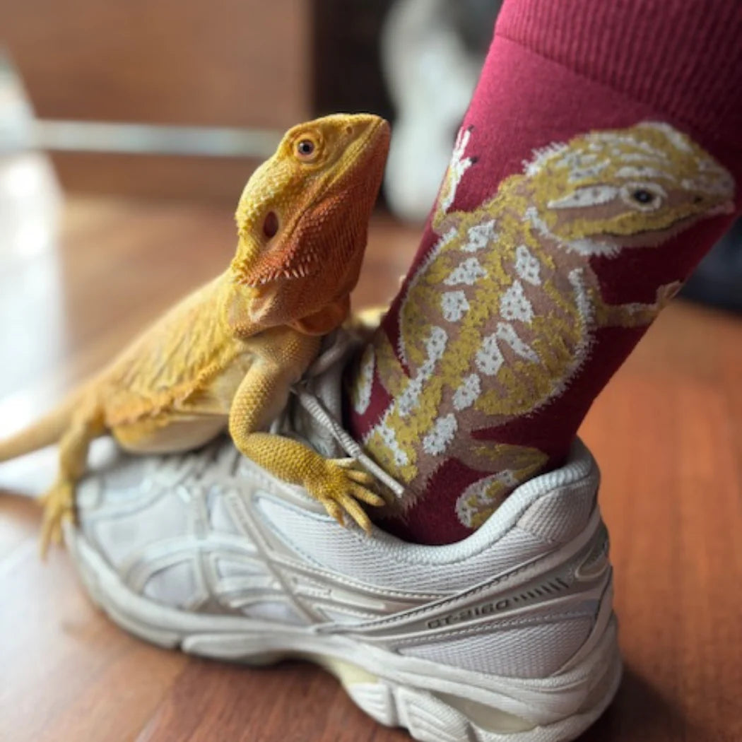Bearded Dragon Men's Crew Socks
