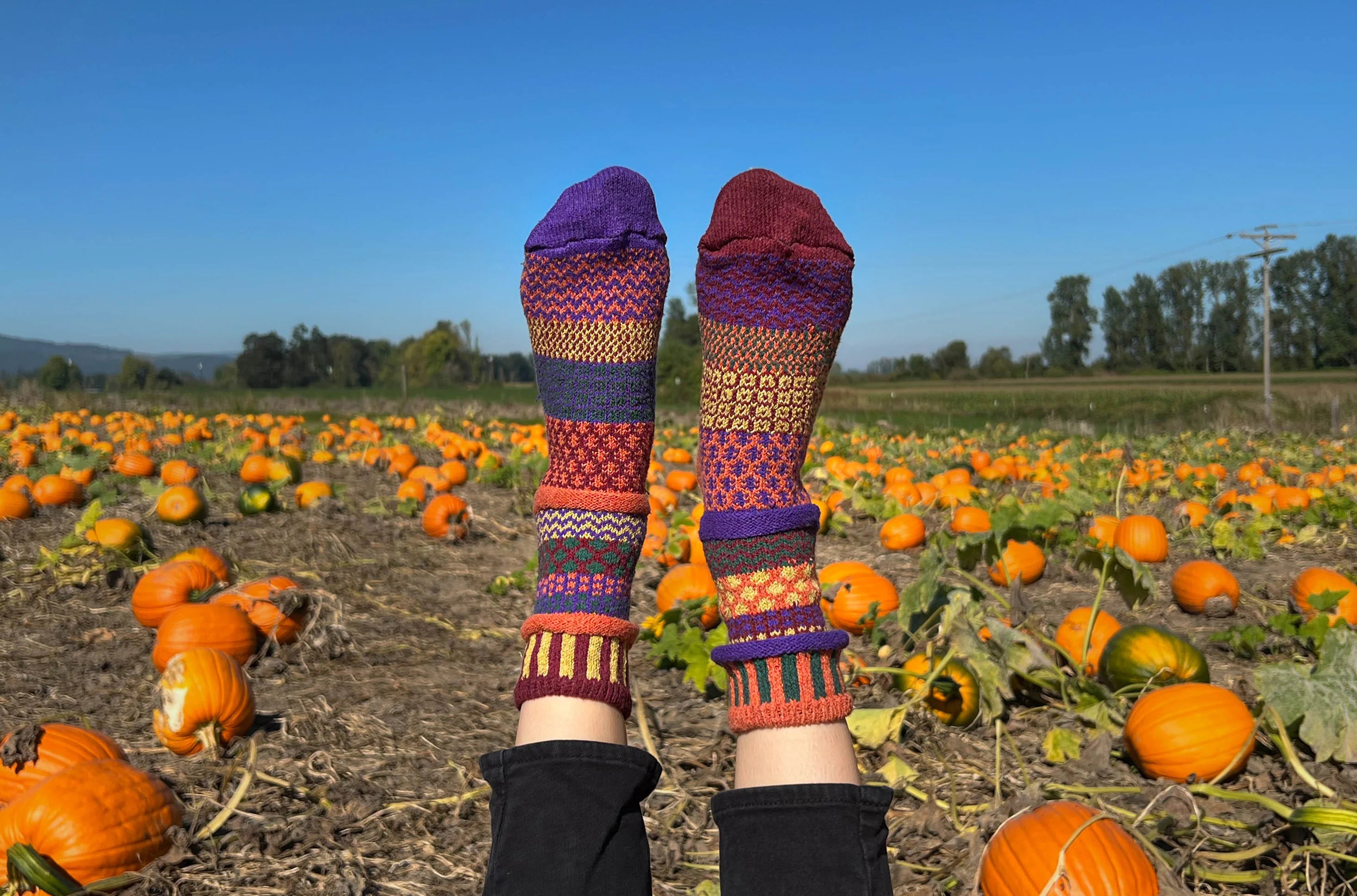 Fall Foliage Recycled Cotton Crew Socks - The Sockery