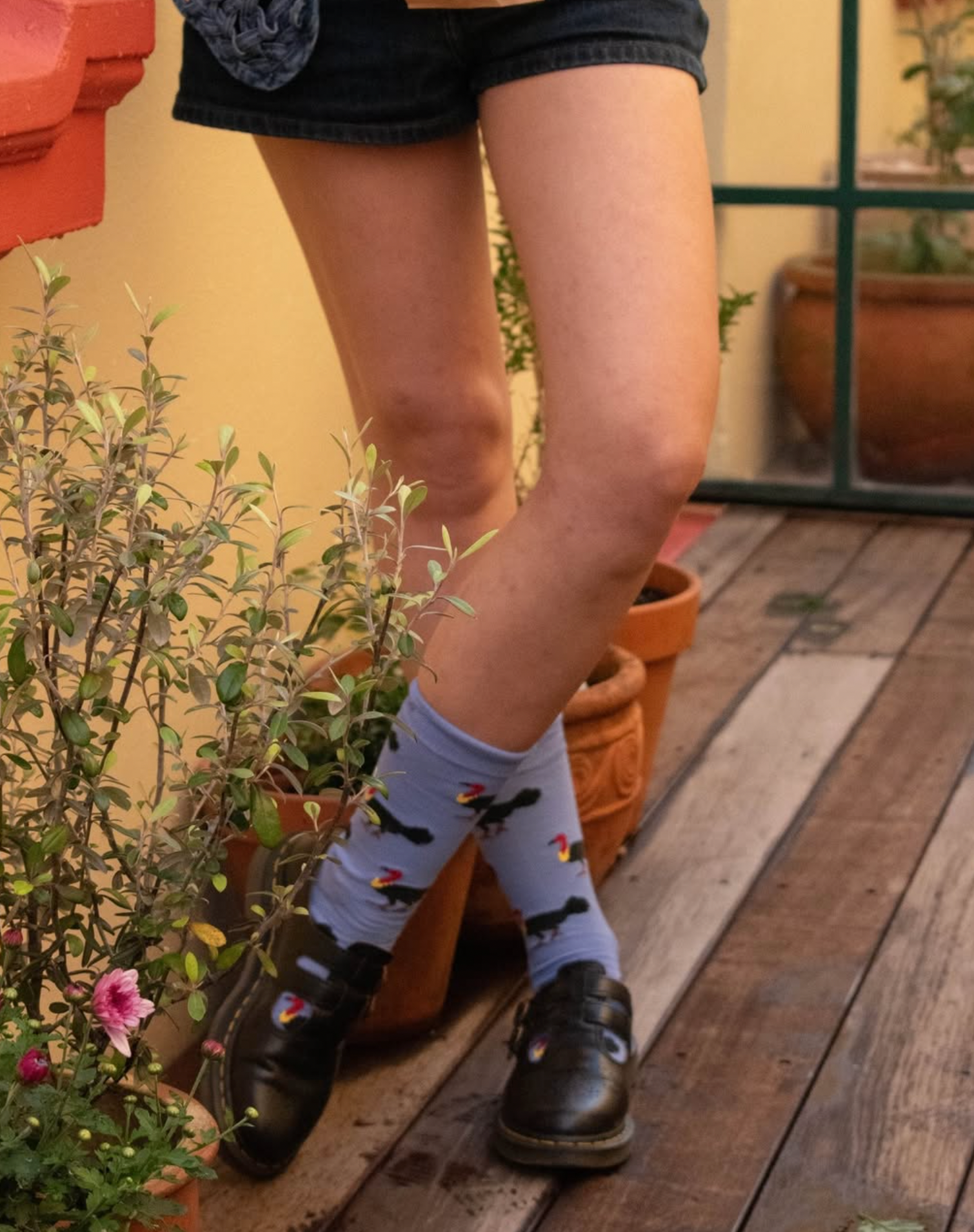 Brush Turkey Crew Socks in Blue