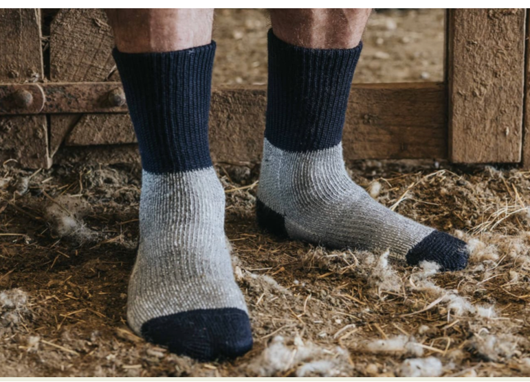 Person wearing dark blue socks with gray feet standing on straw in a barn setting