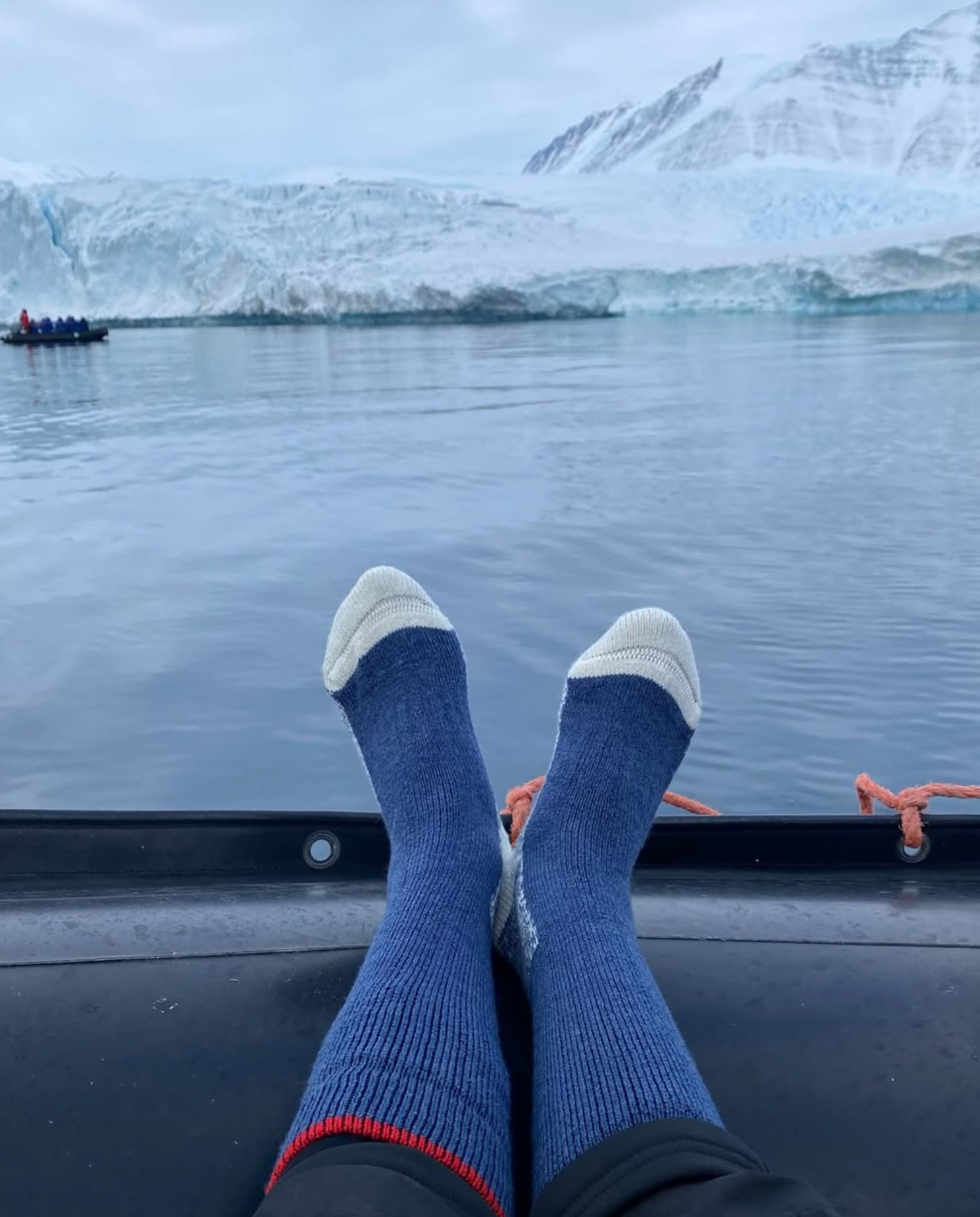 Thermal Hi-Trek Socks in Blue