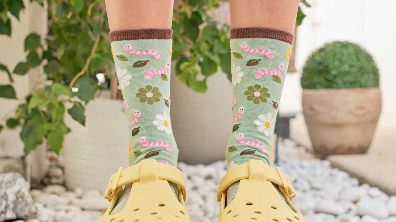 Wiggly Worm Women's Cotton Crew Socks