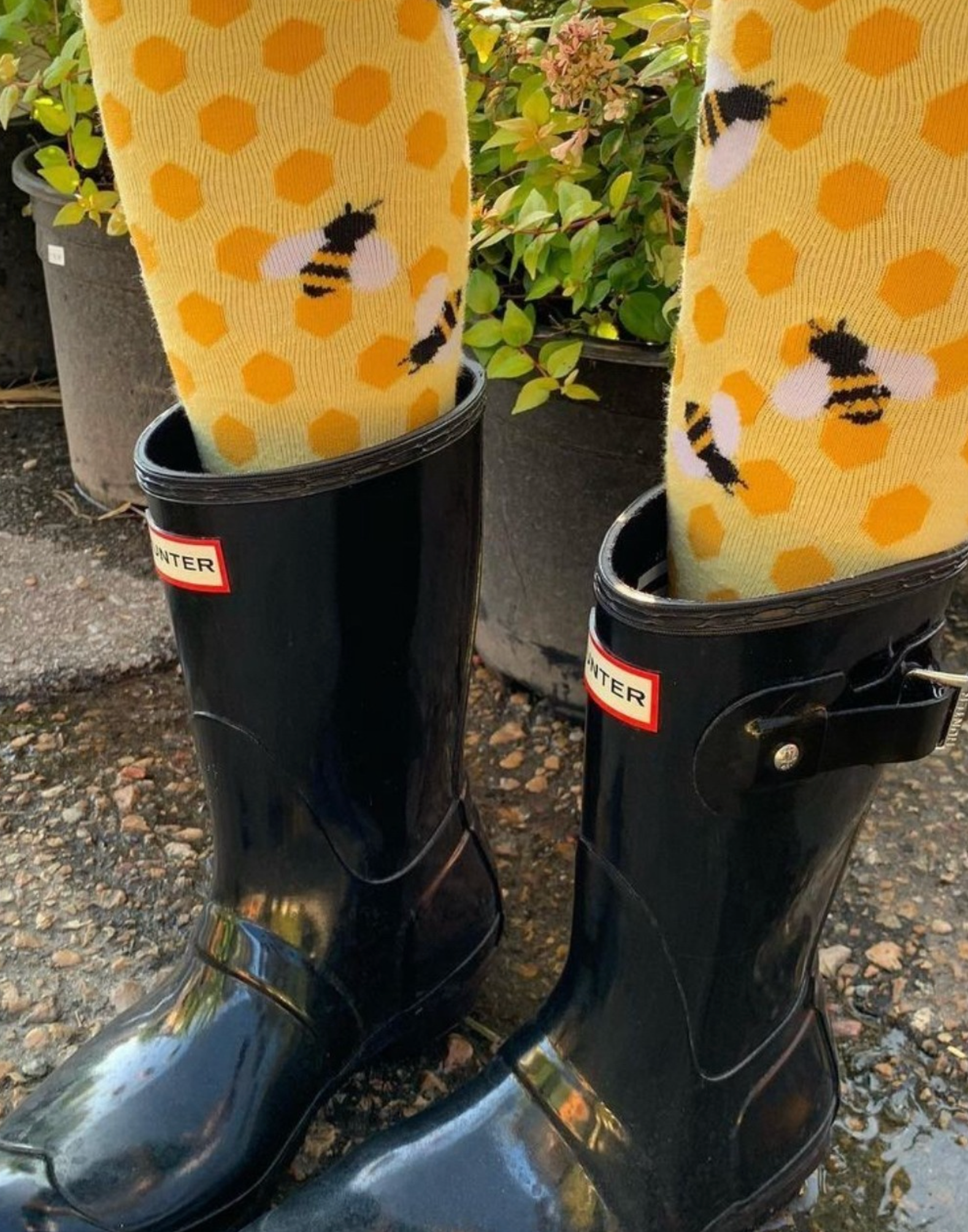 Bee's Knees Women's Knee High Socks