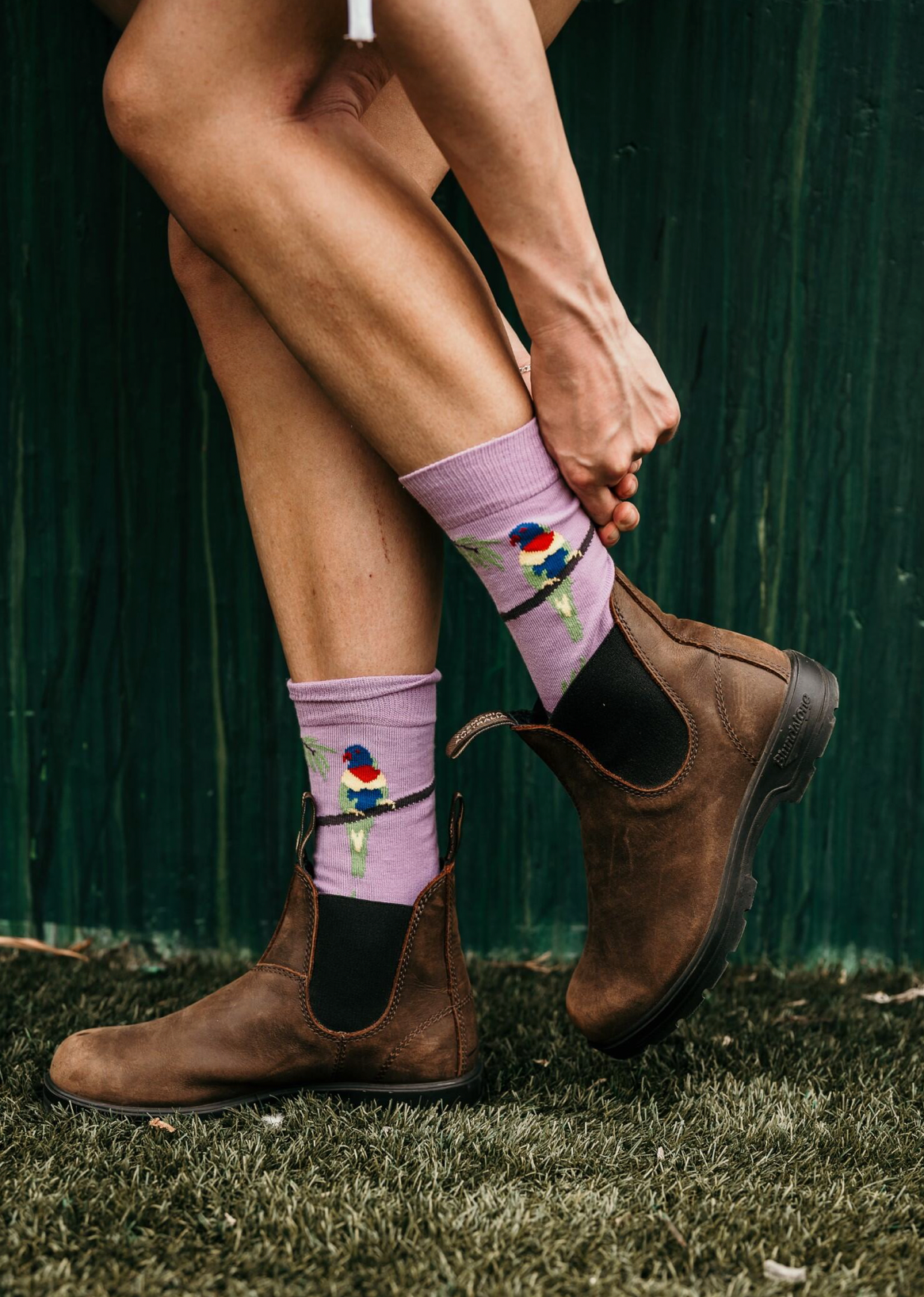 Rainbow Lorikeet Crew Socks in Orchid