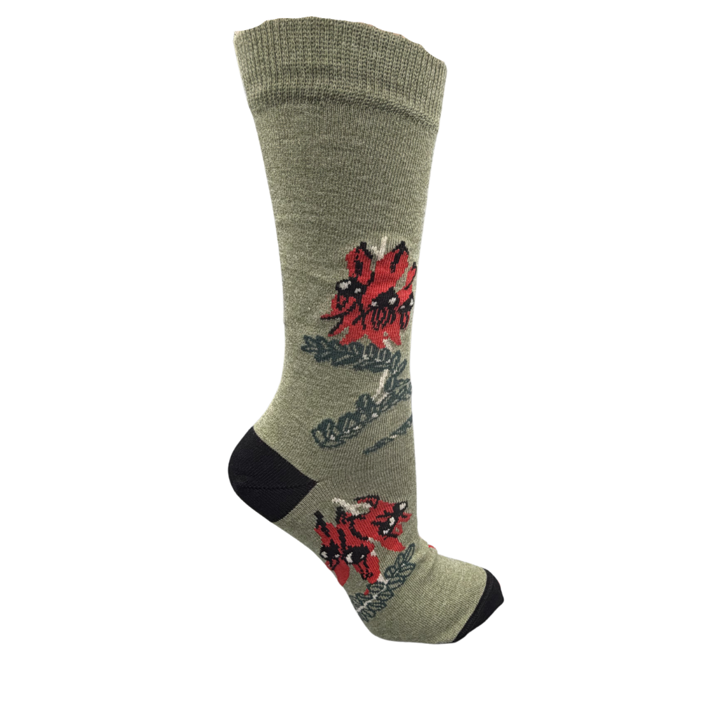 sock with sturt desert pea