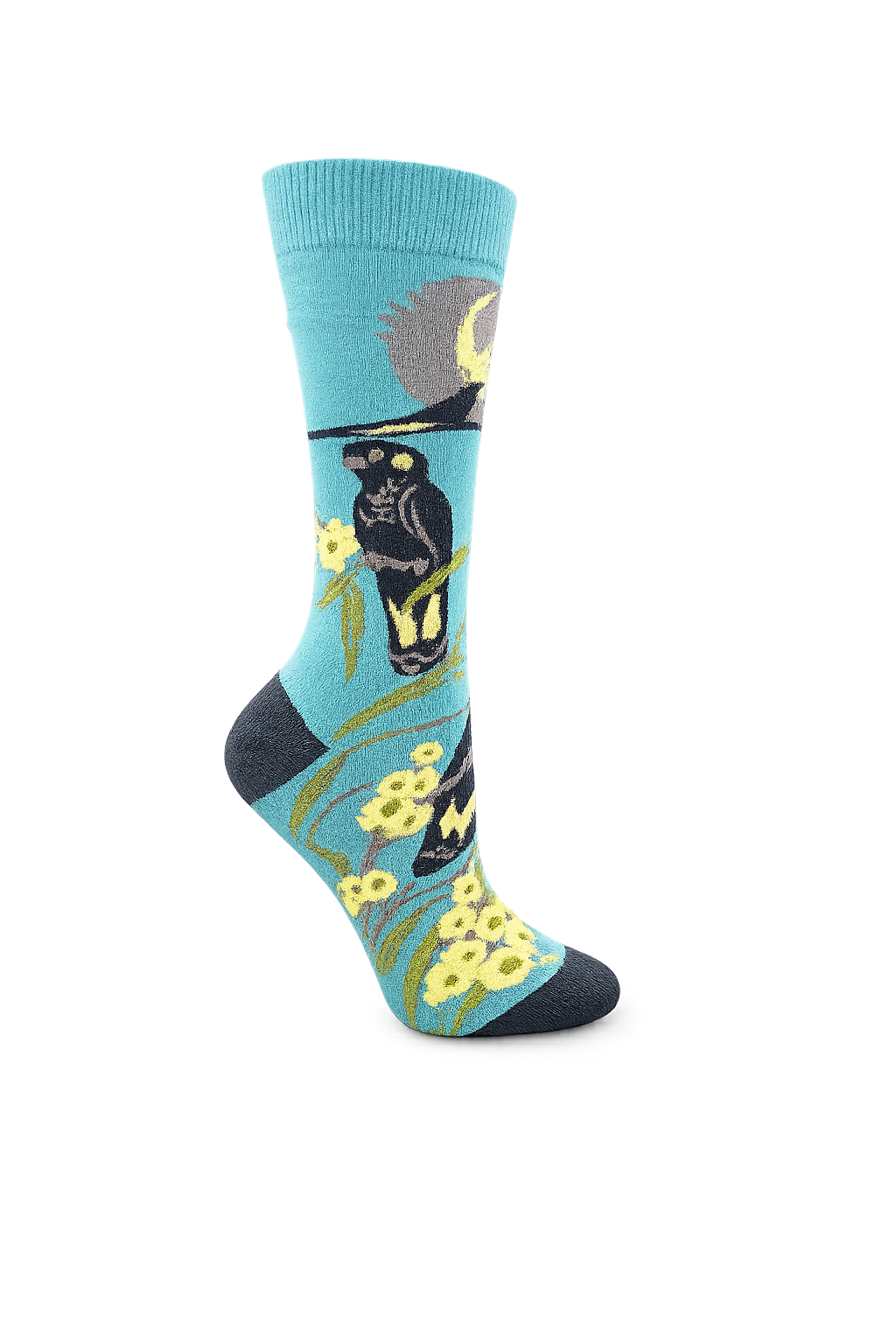 Black Cockatoo Socks in Aqua Blue