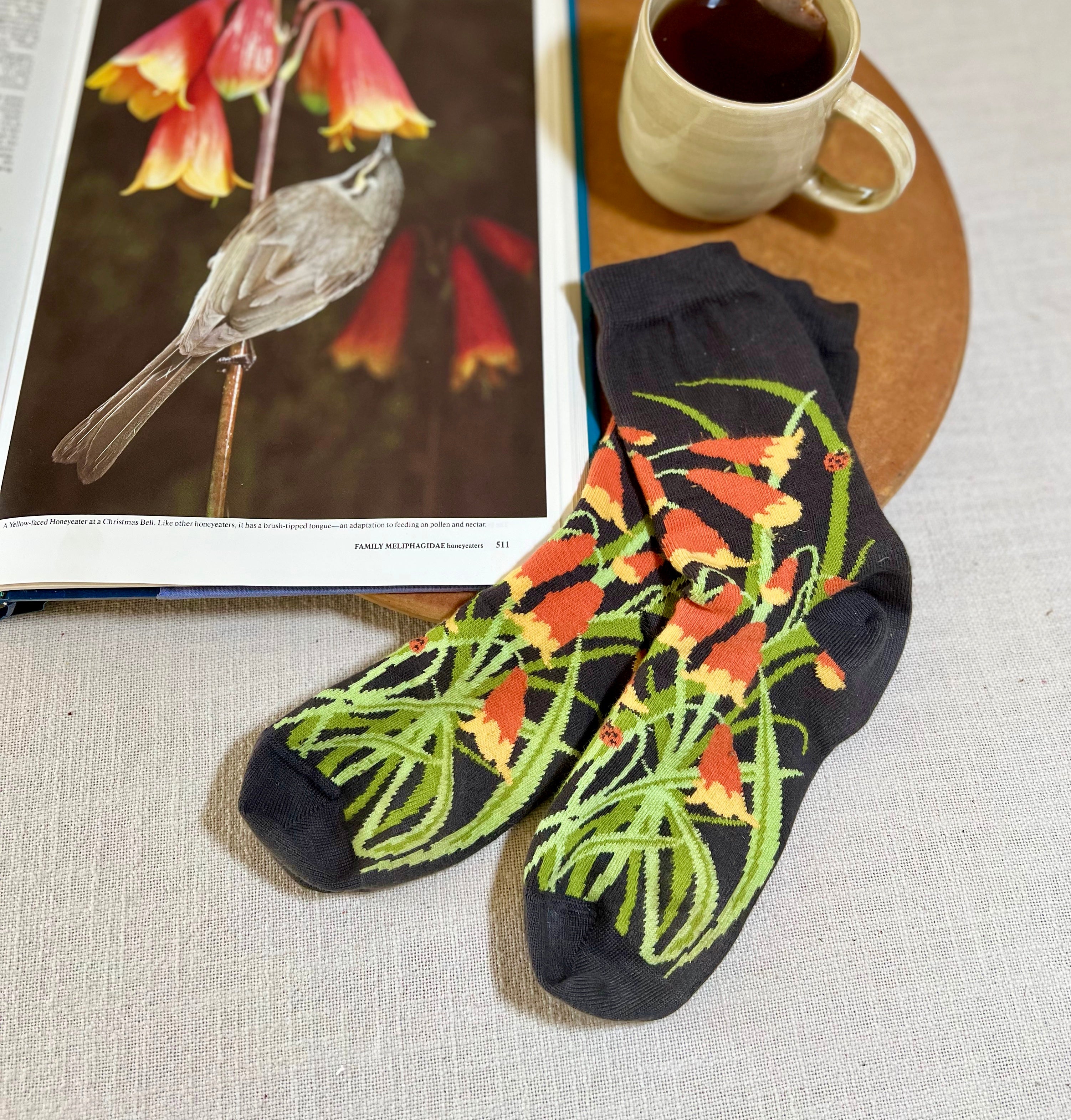 christmas bell australian native flower sock - The Socker
