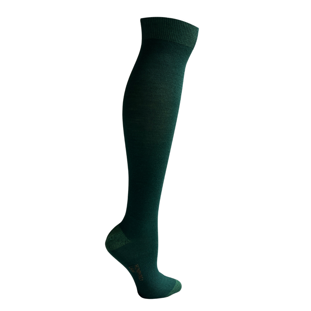 Green knee-high sock on a white background