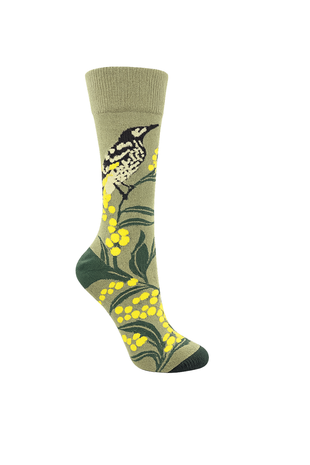Regent Honey Eater Socks