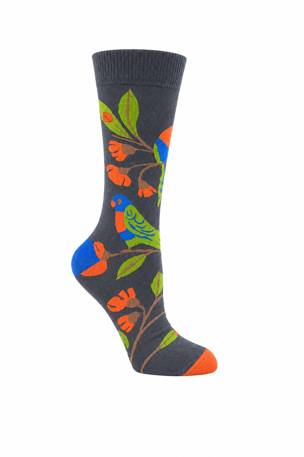 Rainbow Lorikeet Crew Socks