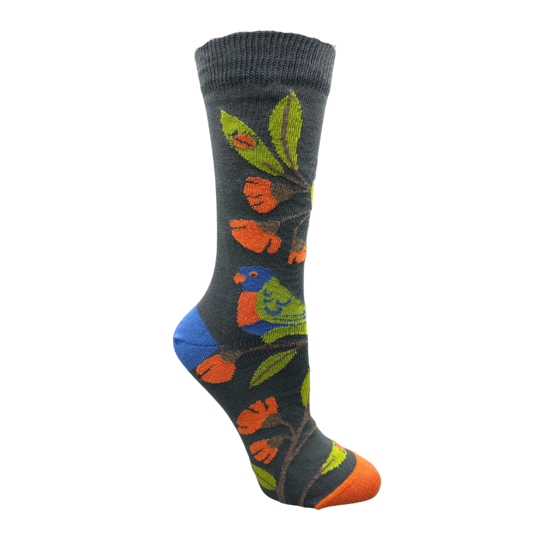 rainbow lorikeet on a colourful sock - The Sockery