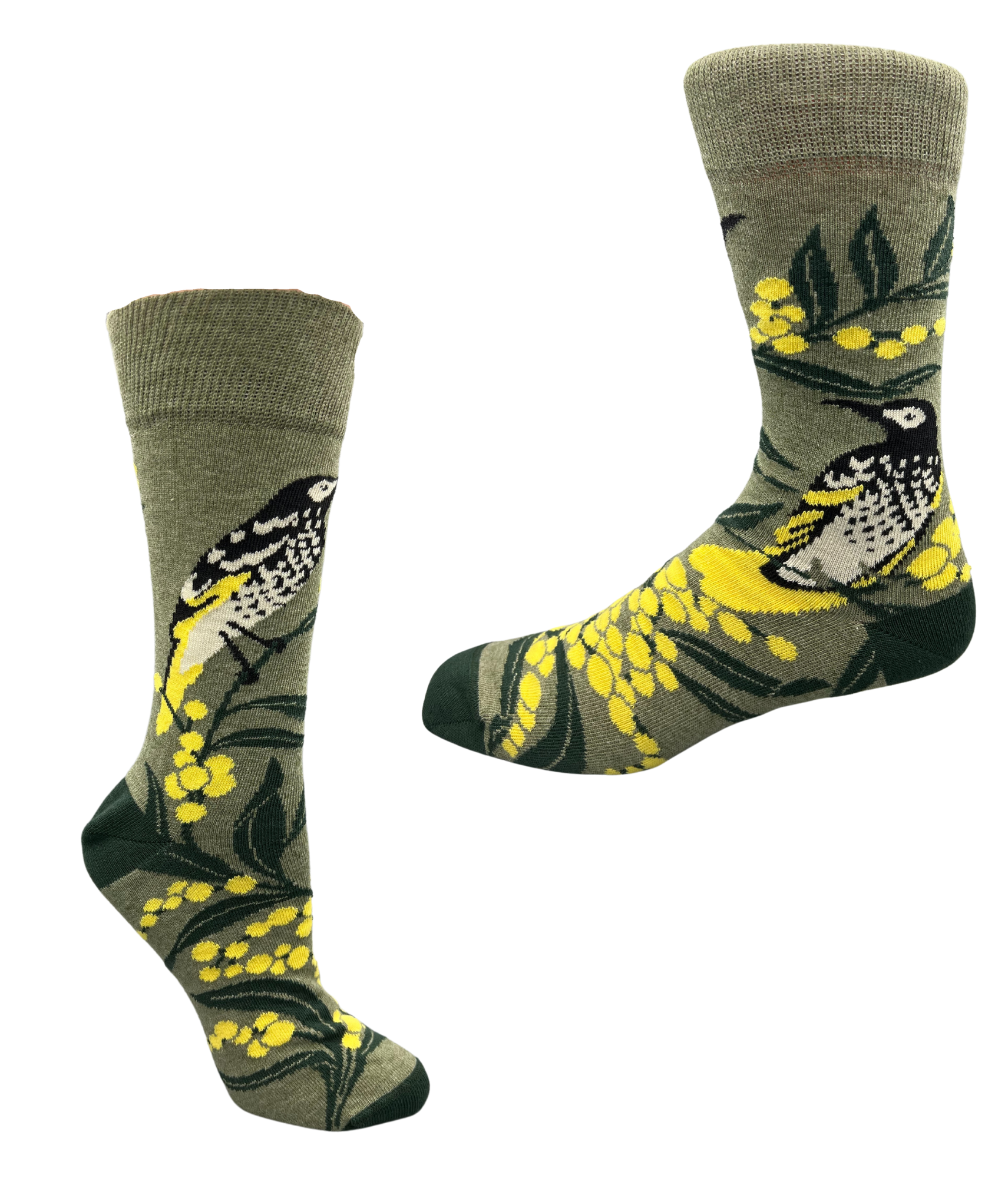 regent honey eater sock - The Sockery