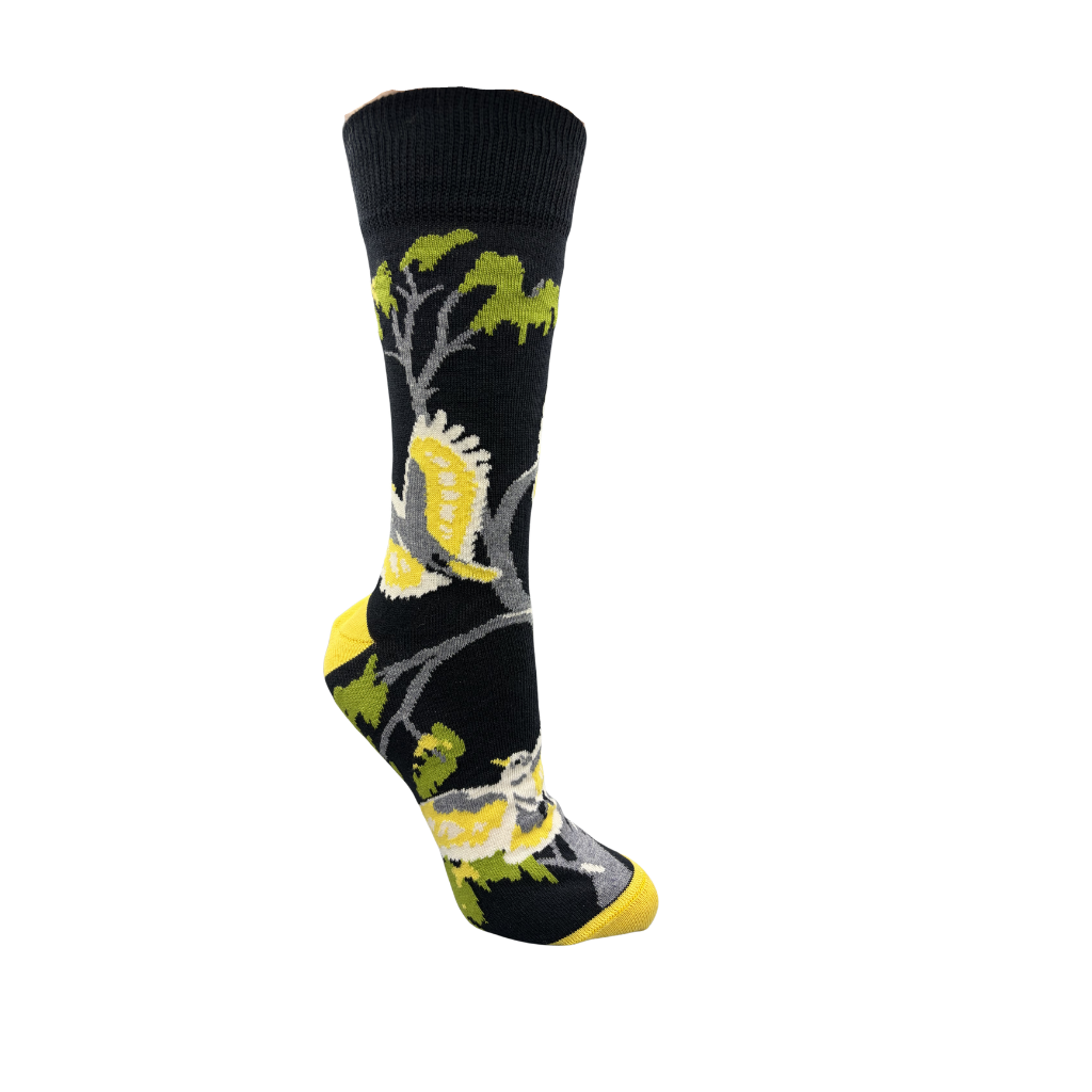 sock with sulphur crested cockatoo