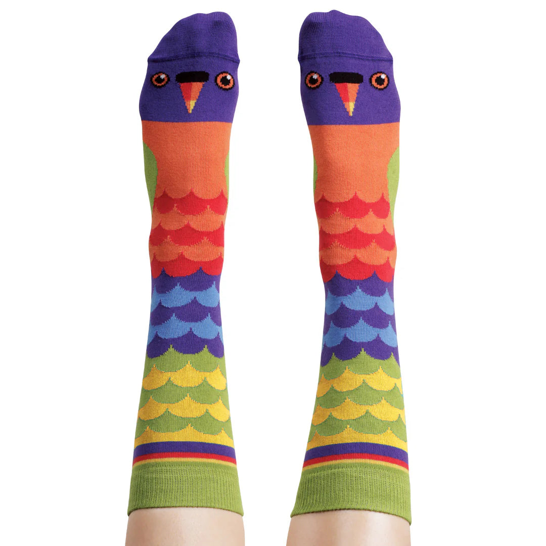 Colourful rainbow lorikeet socks - The Sockery