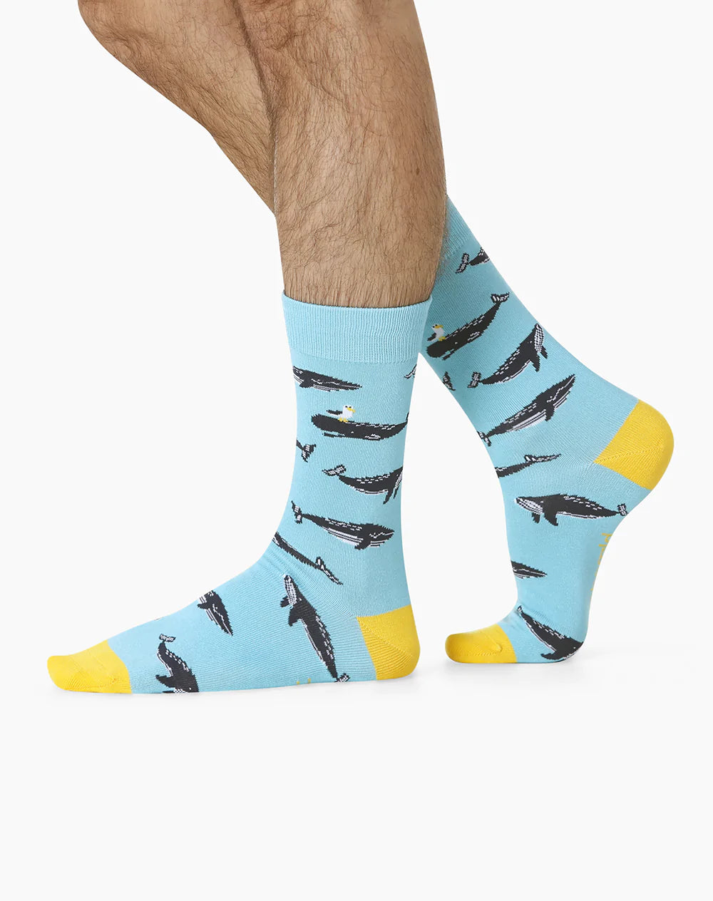 Moby Dick Bamboo Men's  Crew Socks - The Sockery