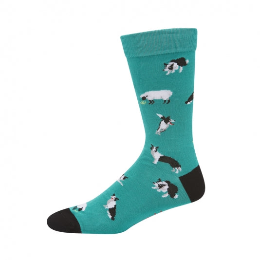 Green mens novelty sock with border collies rounding up sheep