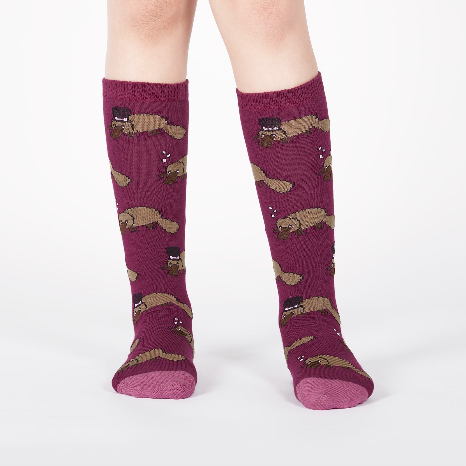 A child wearing purple knee high socks with platypus all over, some wearing top hats - The Sockery