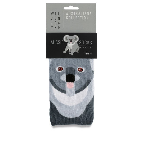 koala sock in packaging